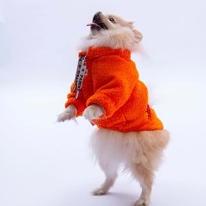 25720-PAWSTAR TURUNCU DOHA GO SWEAT 5Lİ SET M-L-L-XL-2XL