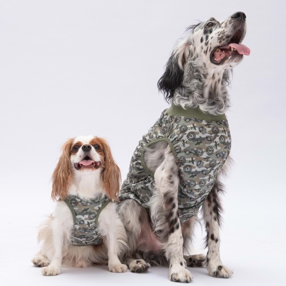 25853-PAWSTAR AİR ARMY BÜYÜK TİŞÖRT 5Lİ SET (3XL-4XL-5XL-6XL-7XL)