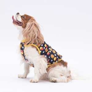 25854-PAWSTAR STAR HAMBURGER BÜYÜK TİŞÖRT 5Lİ SET (3XL-4XL-5XL-6XL-7XL)