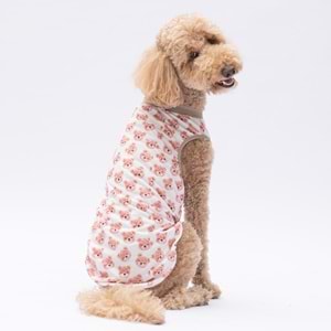 25855-PAWSTAR CUTE BEARS BÜYÜK TİŞÖRT 5Lİ SET (3XL-4XL-5XL-6XL-7XL)