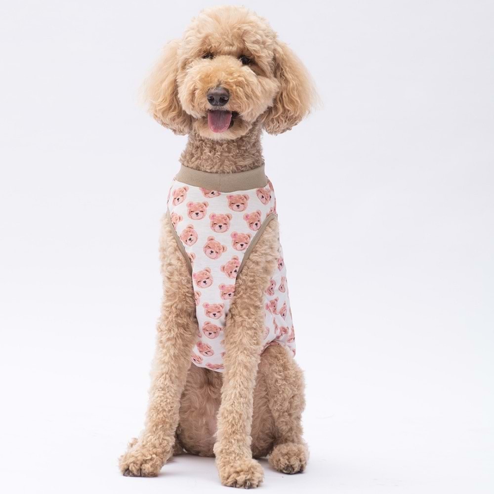 25855-PAWSTAR CUTE BEARS BÜYÜK TİŞÖRT 5Lİ SET (3XL-4XL-5XL-6XL-7XL)