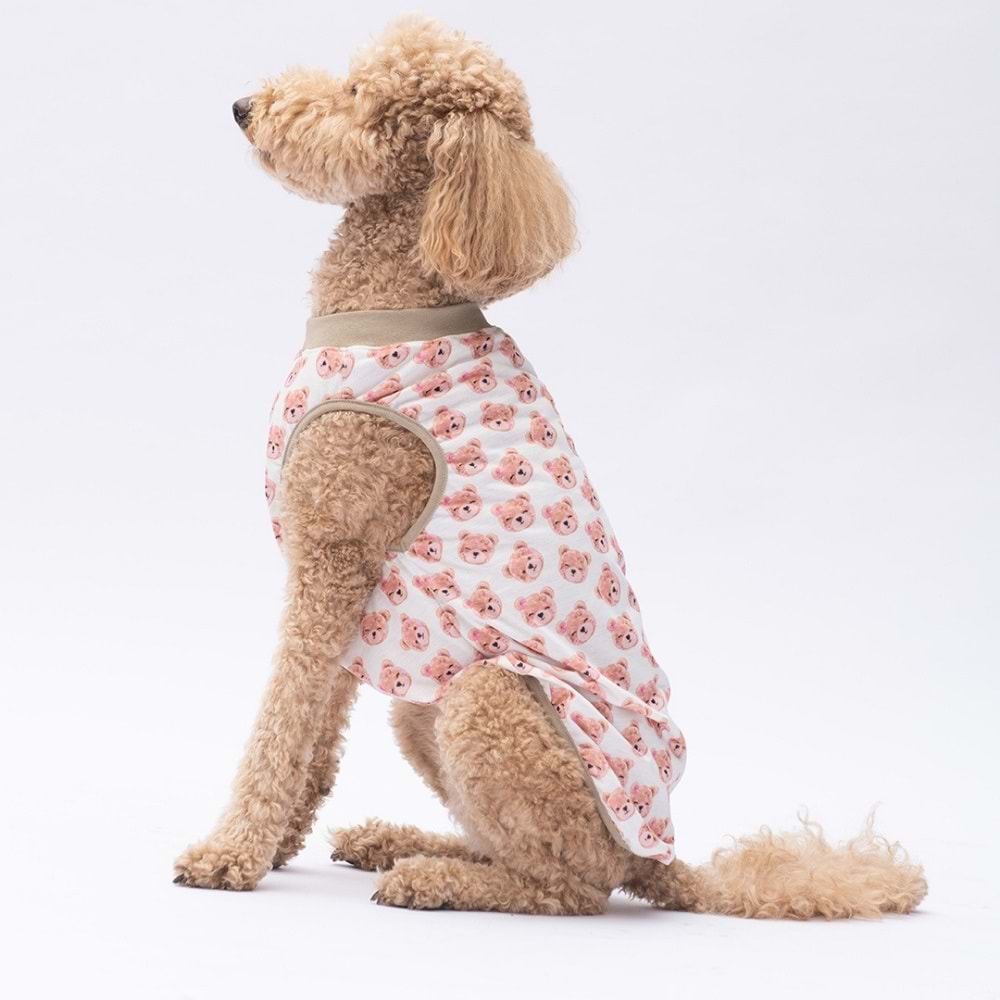 25855-PAWSTAR CUTE BEARS BÜYÜK TİŞÖRT 5Lİ SET (3XL-4XL-5XL-6XL-7XL)