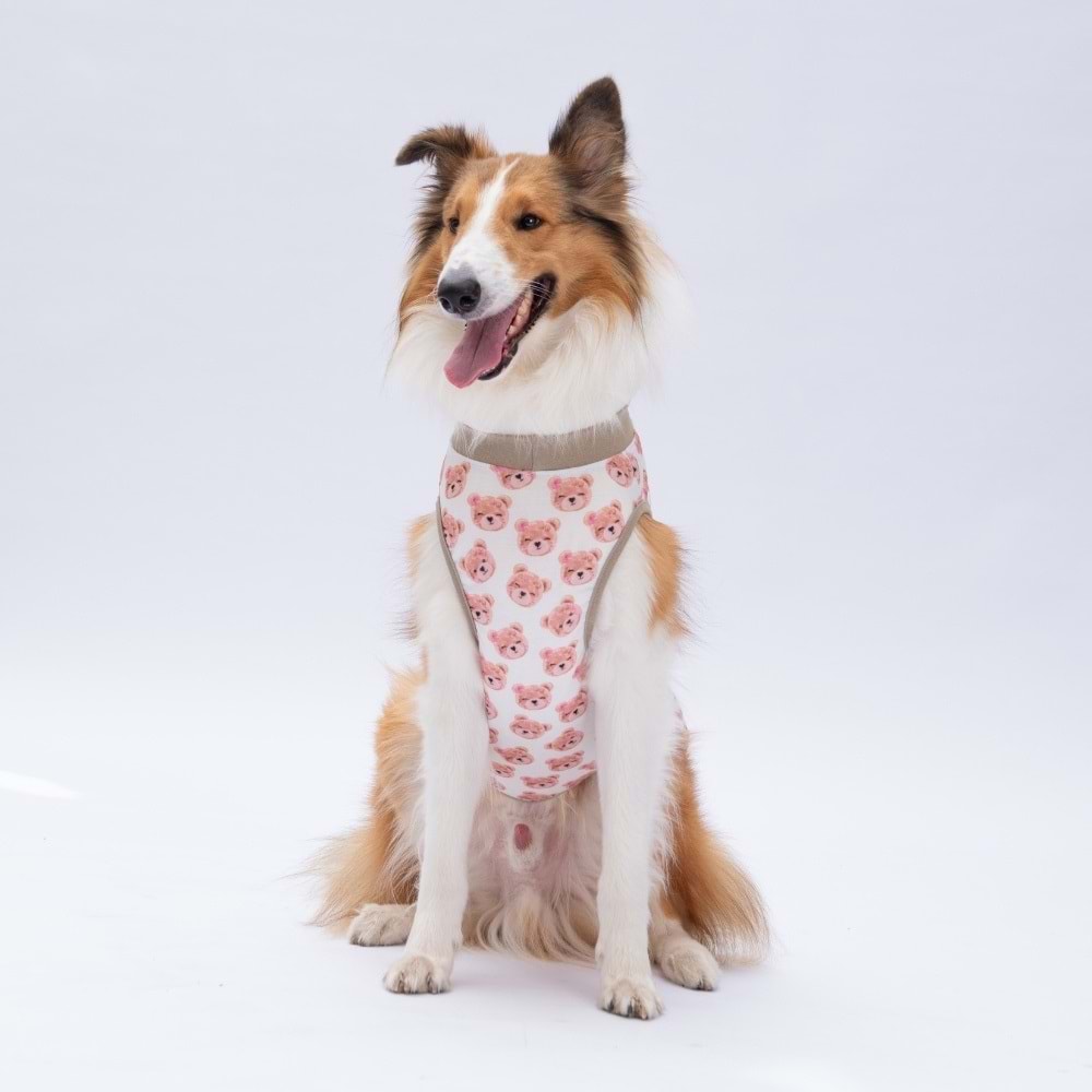 25855-PAWSTAR CUTE BEARS BÜYÜK TİŞÖRT 5Lİ SET (3XL-4XL-5XL-6XL-7XL)