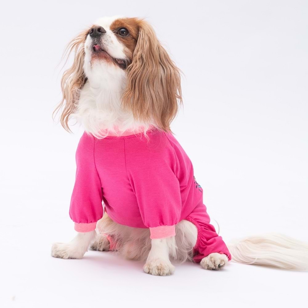 25901-PAWSTAR DONUT WORRY PİJAMA TULUM 5Lİ SET (M-L-L-XL-2XL)