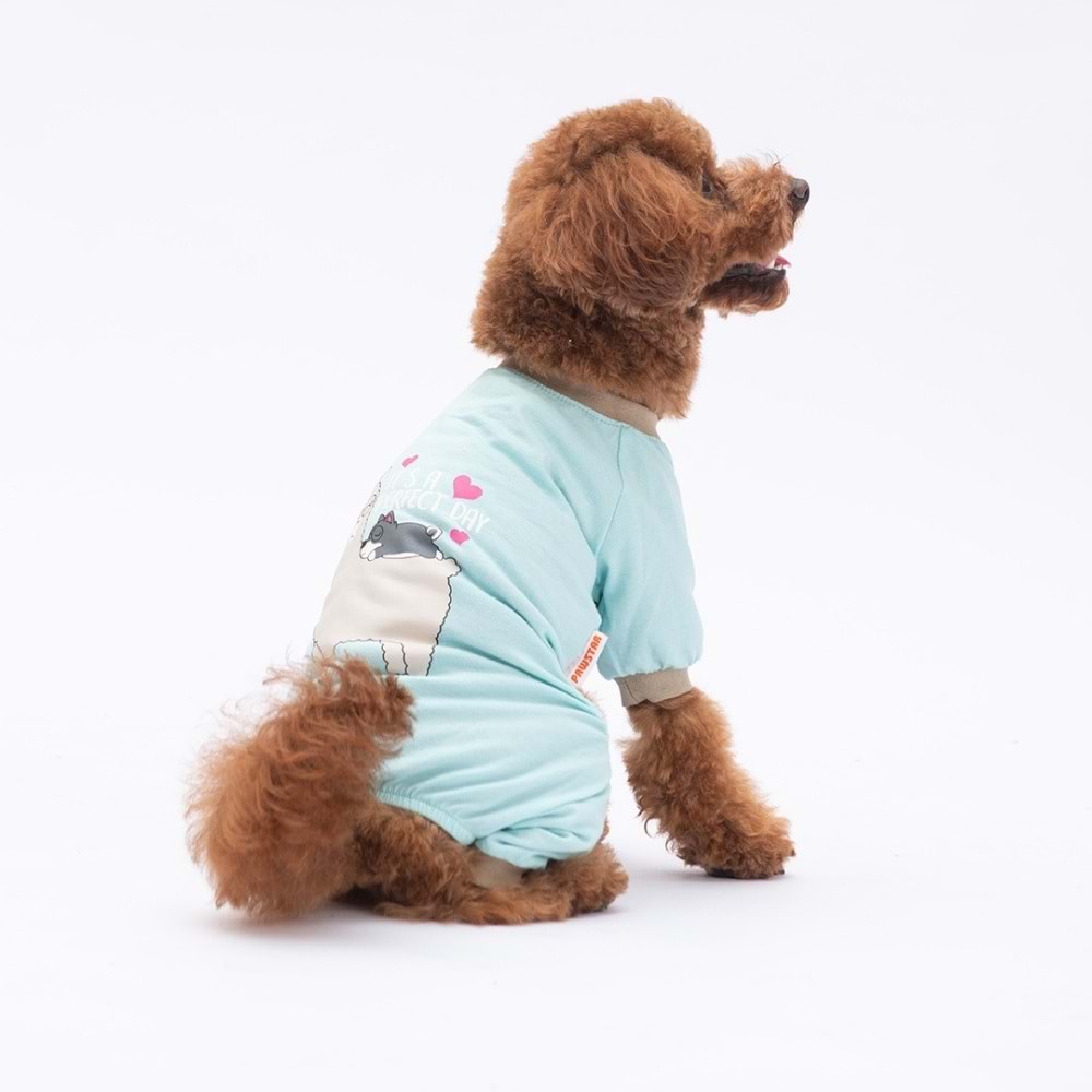 25902-PAWSTAR LAMA & DOG PİJAMA TULUM 5Lİ SET (M-L-L-XL-2XL)