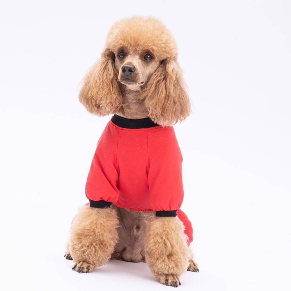 25906-PAWSTAR DEPRESSO PİJAMA TULUM 5Lİ SET (M-L-L-XL-2XL)
