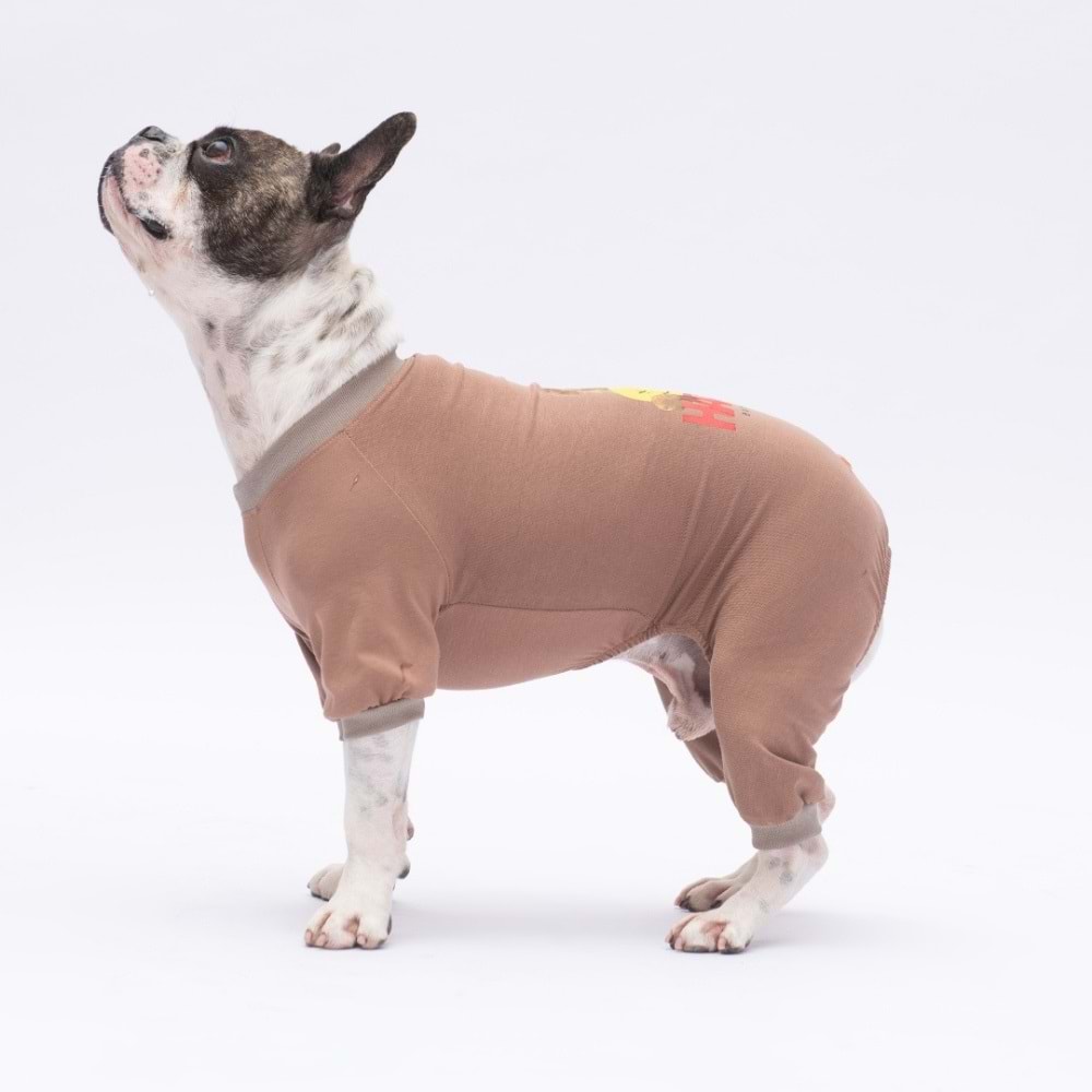 25907-PAWSTAR HAPPY TEDDY BEAR PİJAMA TULUM 5Lİ SET (M-L-L-XL-2XL)