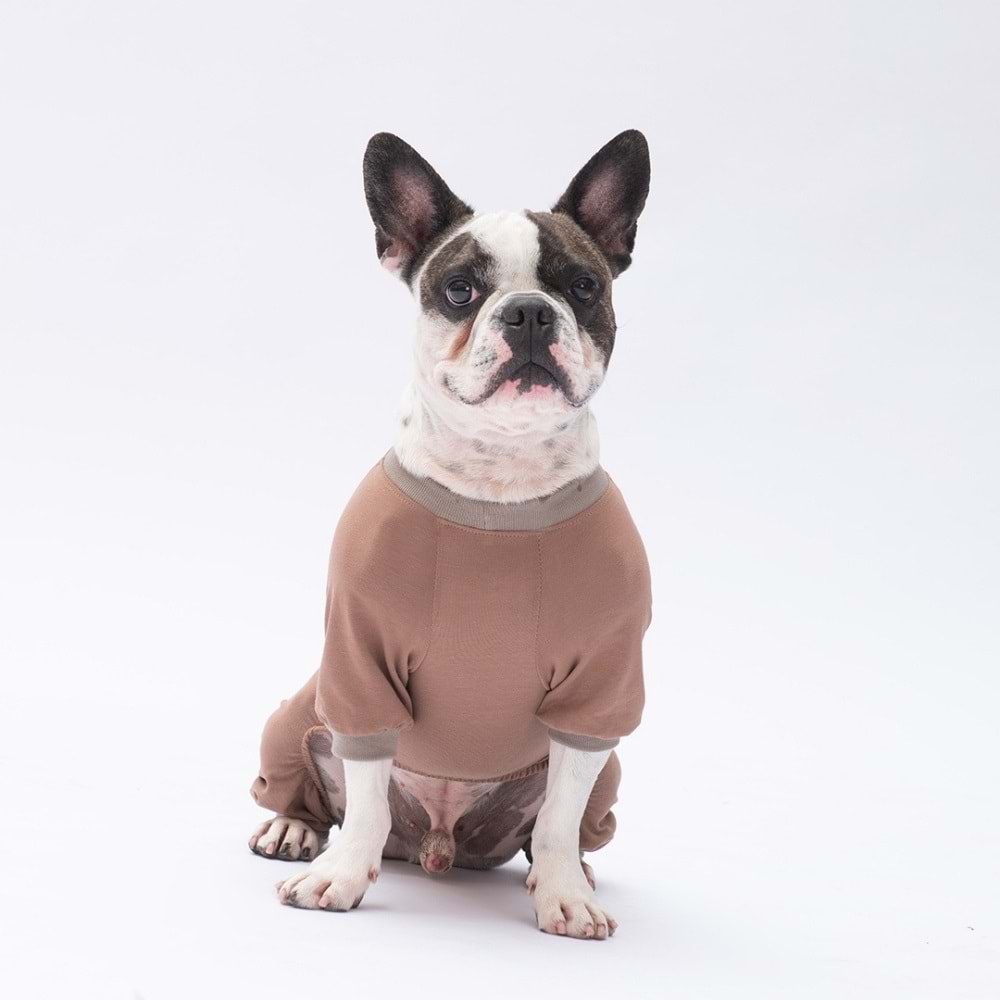25907-PAWSTAR HAPPY TEDDY BEAR PİJAMA TULUM 5Lİ SET (M-L-L-XL-2XL)