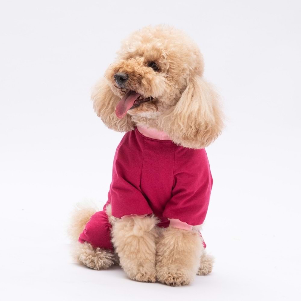 25908-PAWSTAR GO TEDDY BEAR PİJAMA TULUM 5Lİ SET(M-L-L-XL-2XL)
