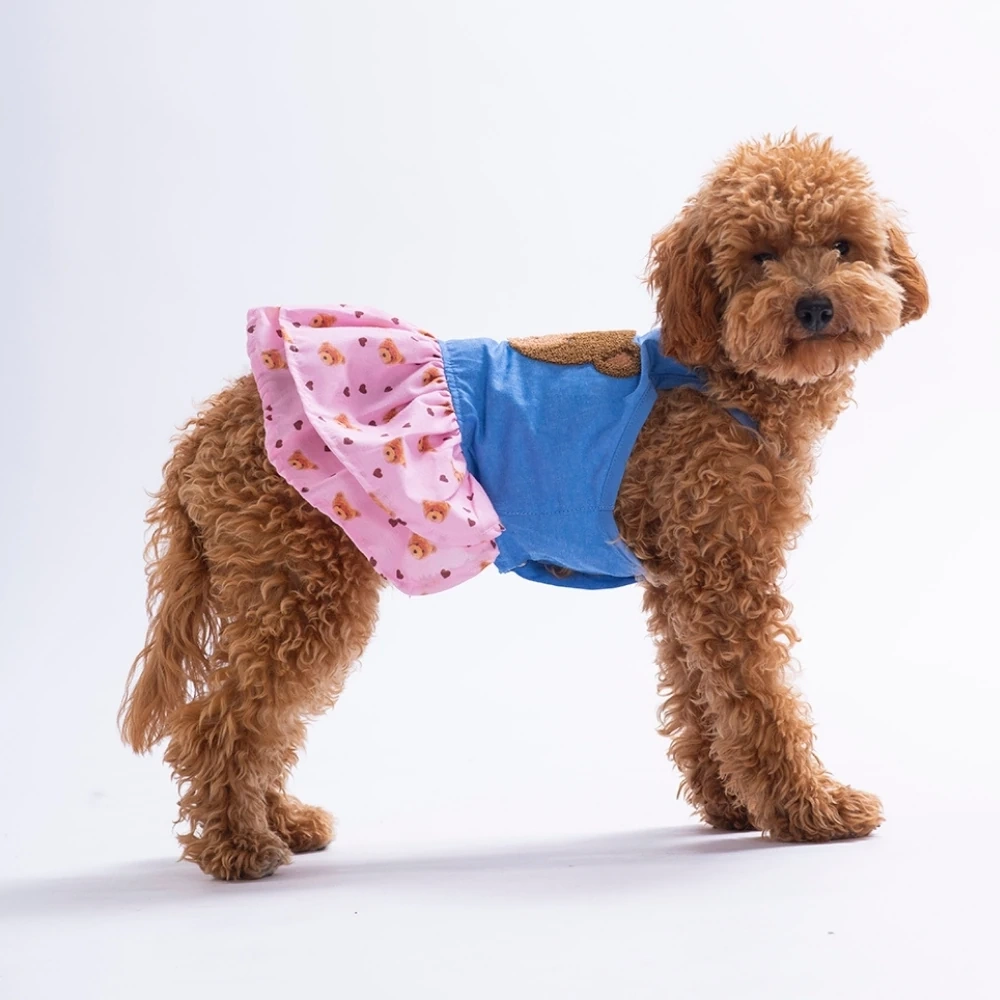 26312-PAWSTAR COZİE BEAR DENİM ELBİSE 5Lİ SET (S-M-L-L-XL)