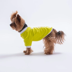 26713-PAWSTAR SARI YOURSELF LOVE SWEAT 5Lİ SET (M-L-L-XL-2XL)