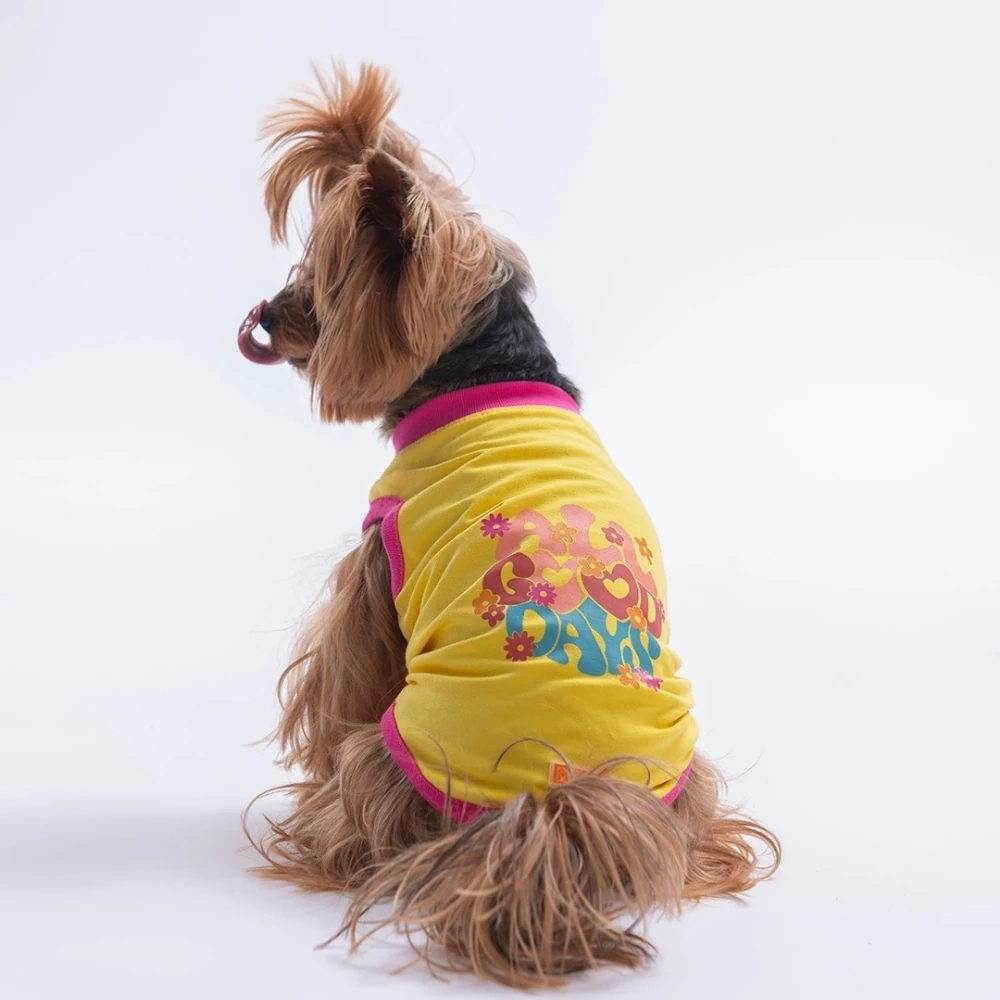 26802-PAWSTAR SARI ALL GOOD DAYS TİŞÖRT 6LI SET (S-M-L-L-XL-2XL)