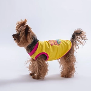 26802-PAWSTAR SARI ALL GOOD DAYS TİŞÖRT 6LI SET (S-M-L-L-XL-2XL)
