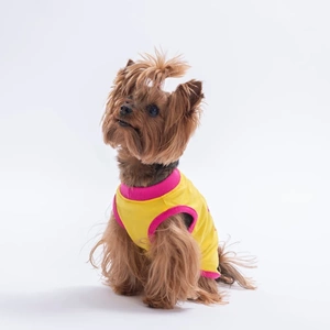 26802-PAWSTAR SARI ALL GOOD DAYS TİŞÖRT 6LI SET (S-M-L-L-XL-2XL)