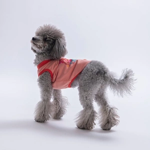 26803-PAWSTAR PEMBE ALL GOOD DAYS TİŞÖRT 6LI SET (S-M-L-L-XL-2XL)