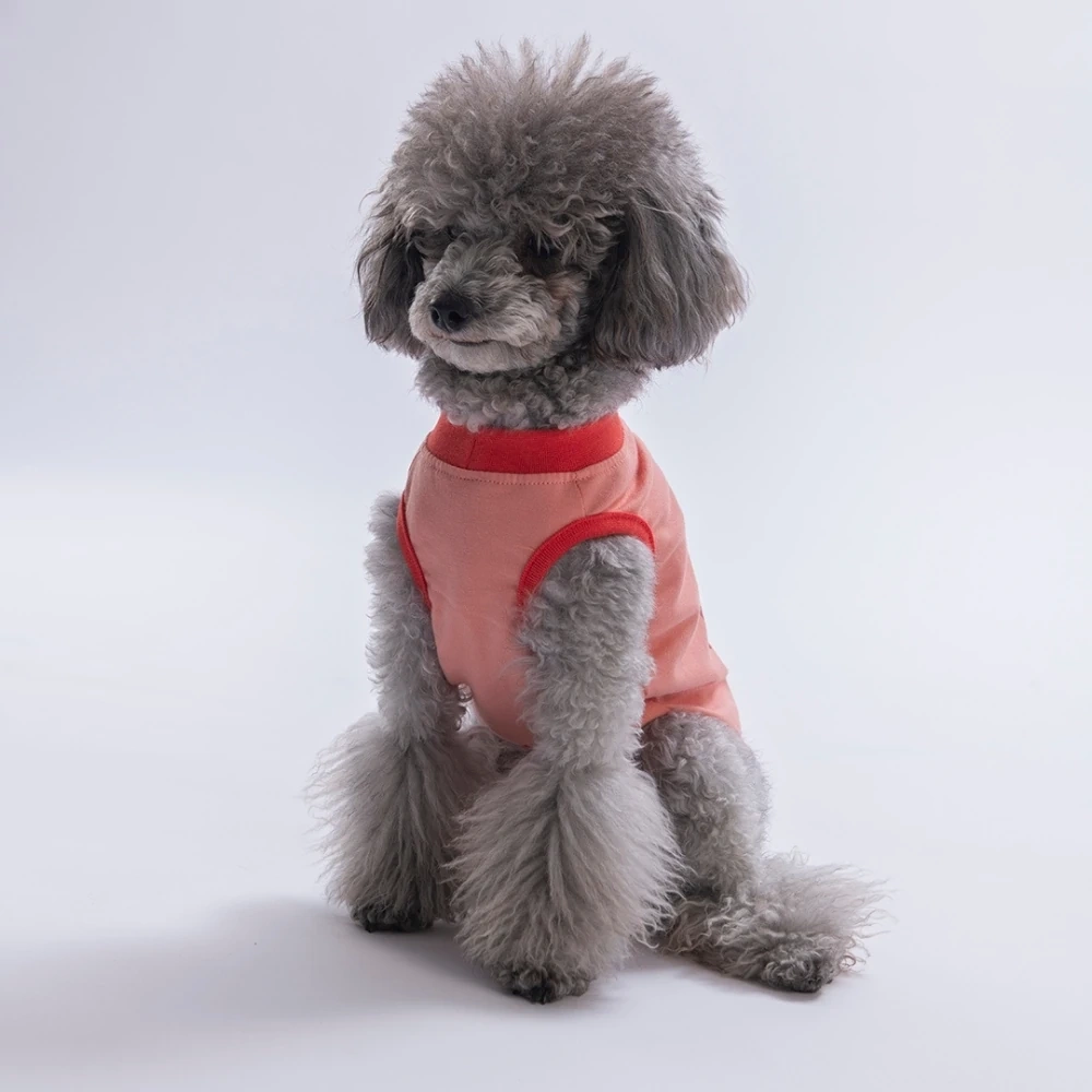 26803-PAWSTAR PEMBE ALL GOOD DAYS TİŞÖRT 6LI SET (S-M-L-L-XL-2XL)
