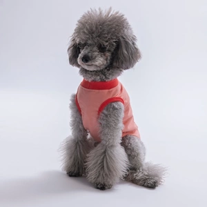 26803-PAWSTAR PEMBE ALL GOOD DAYS TİŞÖRT 6LI SET (S-M-L-L-XL-2XL)