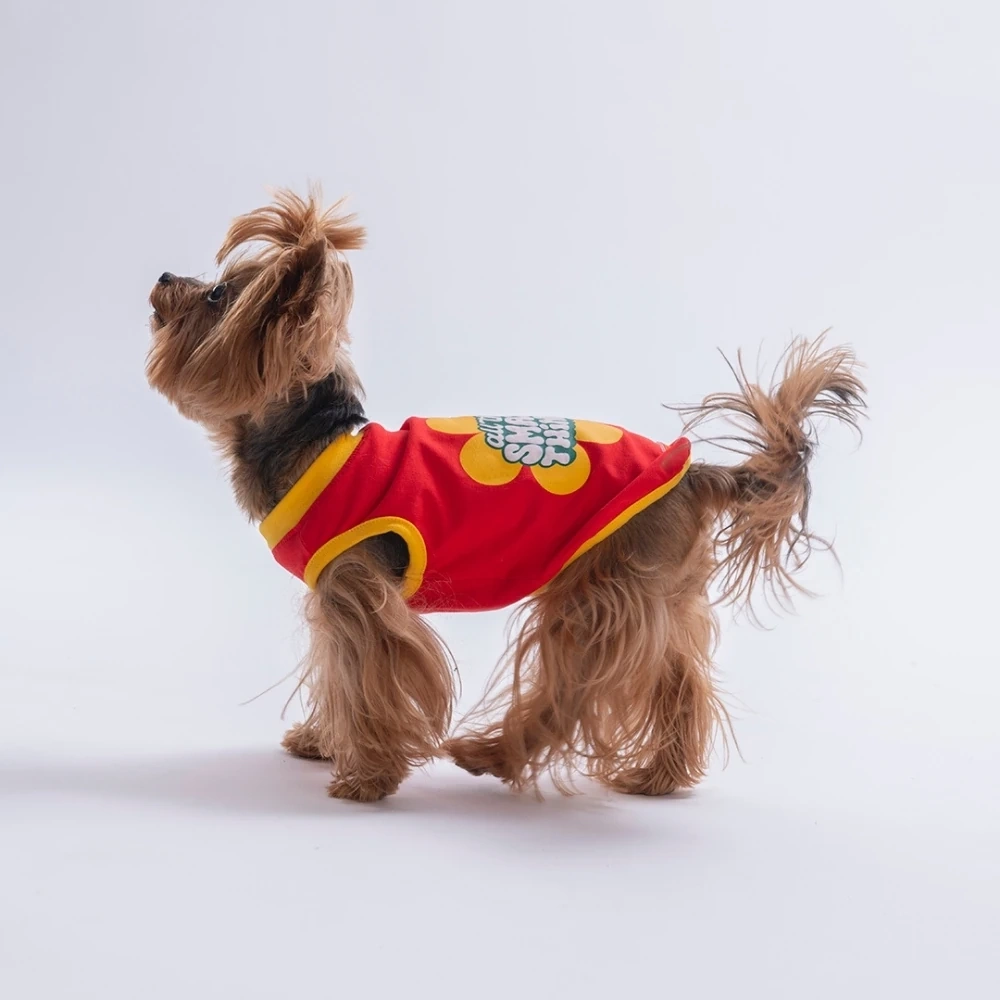 26804-PAWSTAR KIRMIZI SMALL THİNGS TİŞÖRT 6LI SET (S-M-L-L-XL-2XL)