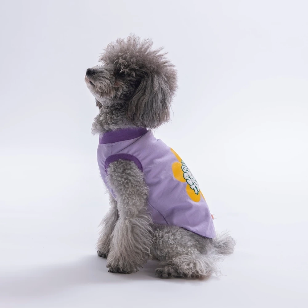 26805-PAWSTAR LİLA SMALL THİNGS TİŞÖRT 6LI SET (S-M-L-L-XL-2XL)