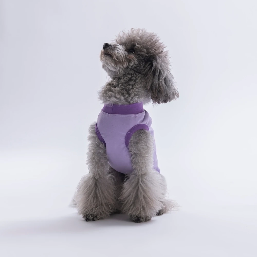 26805-PAWSTAR LİLA SMALL THİNGS TİŞÖRT 6LI SET (S-M-L-L-XL-2XL)