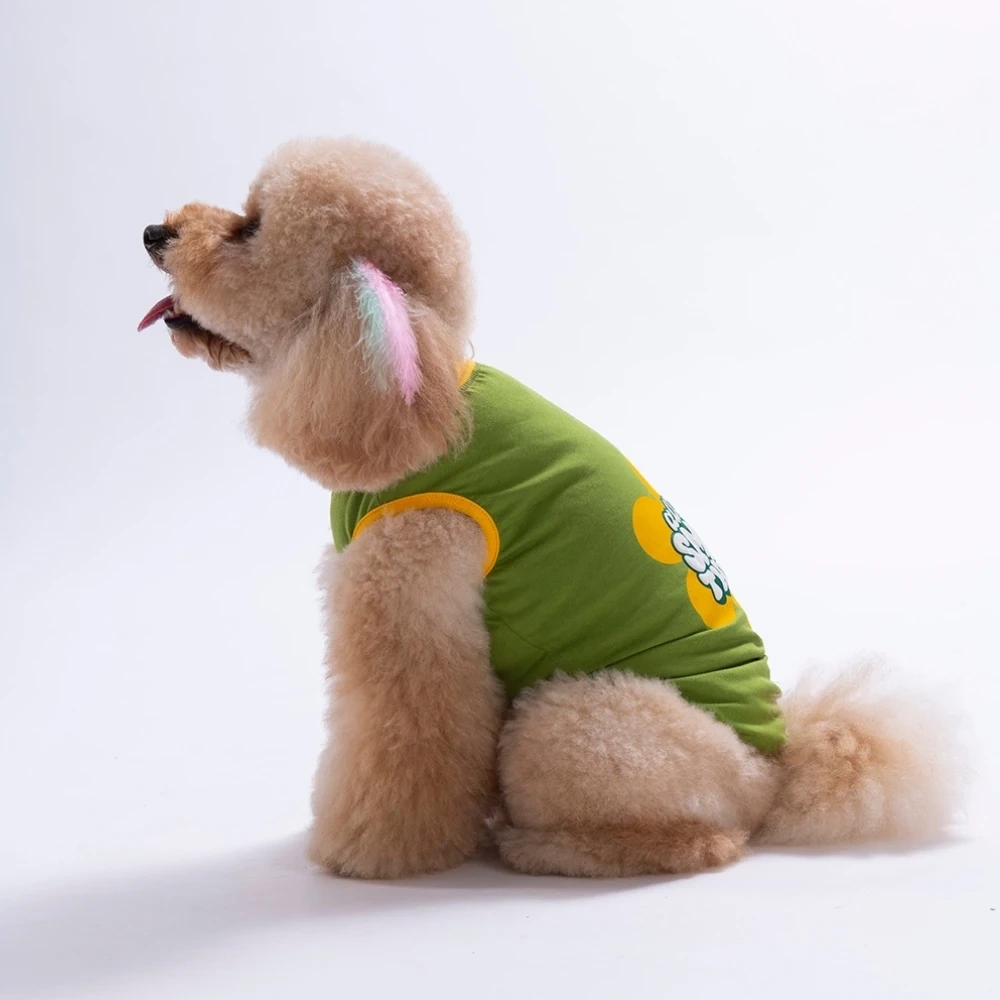 26806-PAWSTAR YEŞİL SMALL THİNGS TİŞÖRT 6LI SET (S-M-L-L-XL-2XL)
