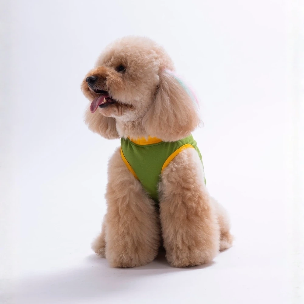 26806-PAWSTAR YEŞİL SMALL THİNGS TİŞÖRT 6LI SET (S-M-L-L-XL-2XL)