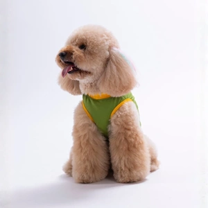 26806-PAWSTAR YEŞİL SMALL THİNGS TİŞÖRT 6LI SET (S-M-L-L-XL-2XL)