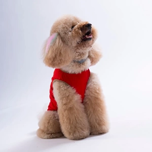26807-PAWSTAR KIRMIZI DONUT TEDDY TİŞÖRT 6LI SET(S-M-L-L-XL-2XL)