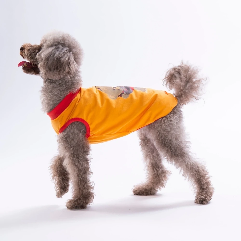 26808-PAWSTAR TURUNCU DONUT TEDDY TİŞÖRT 6LI SET(S-M-L-L-XL-2XL)
