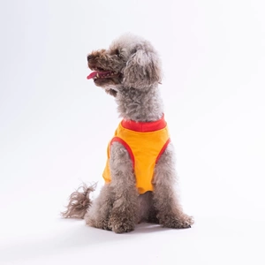 26808-PAWSTAR TURUNCU DONUT TEDDY TİŞÖRT 6LI SET(S-M-L-L-XL-2XL)
