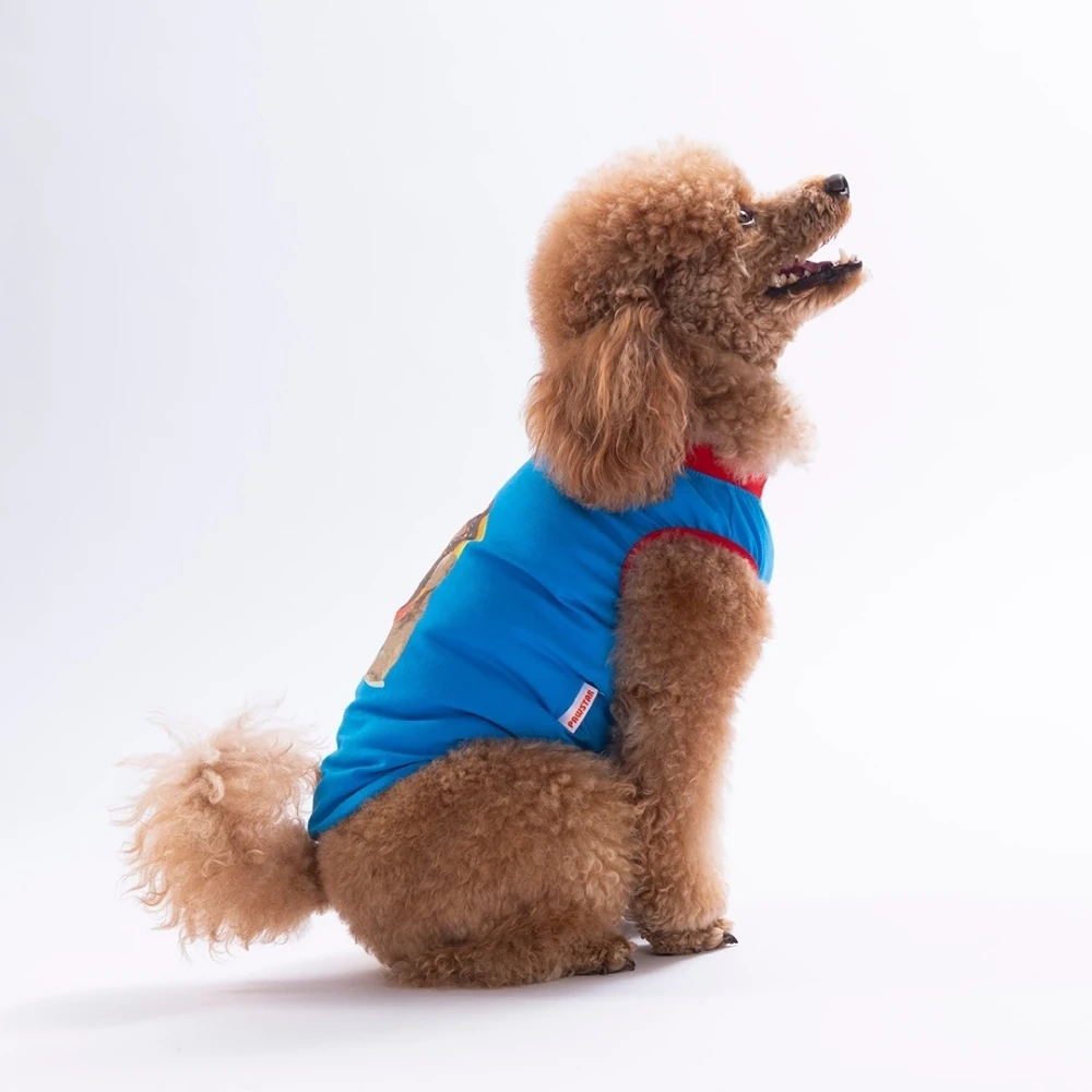 26809-PAWSTAR MAVİ DONUT TEDDY TİŞÖRT 6LI SET(S-M-L-L-XL-2XL)