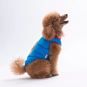 26809-PAWSTAR MAVİ DONUT TEDDY TİŞÖRT 6LI SET(S-M-L-L-XL-2XL)
