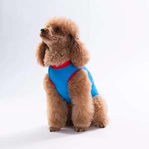 26809-PAWSTAR MAVİ DONUT TEDDY TİŞÖRT 6LI SET(S-M-L-L-XL-2XL)