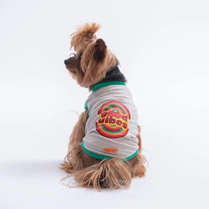 26810-PAWSTAR GRİ GOOD VİBES TİŞÖRT 6LI SET (S-M-L-L-XL-2XL)