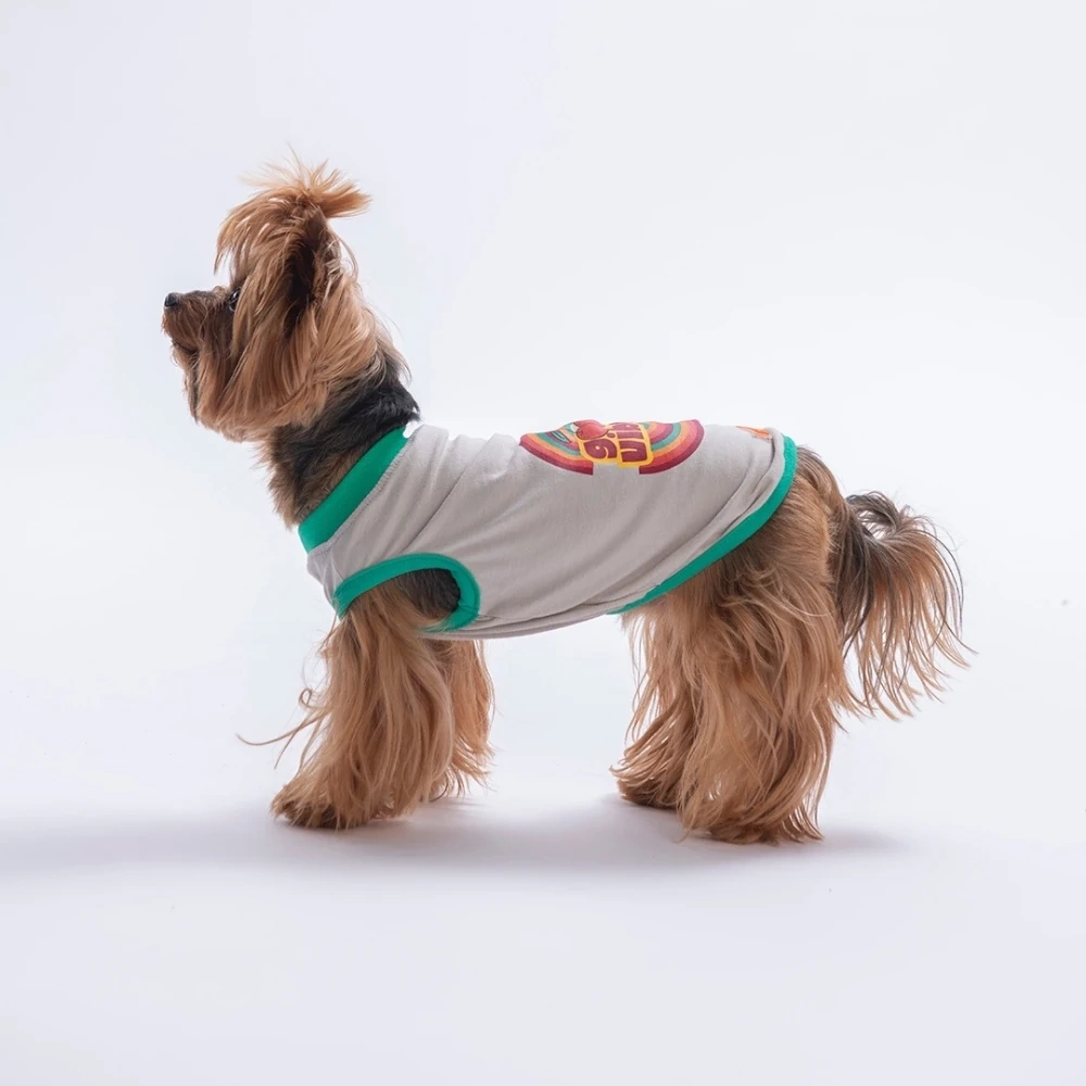 26810-PAWSTAR GRİ GOOD VİBES TİŞÖRT 6LI SET (S-M-L-L-XL-2XL)