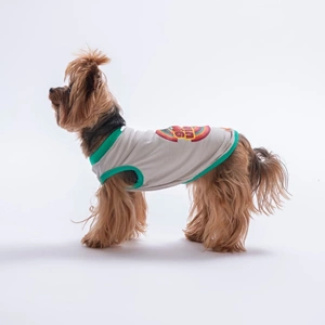 26810-PAWSTAR GRİ GOOD VİBES TİŞÖRT 6LI SET (S-M-L-L-XL-2XL)
