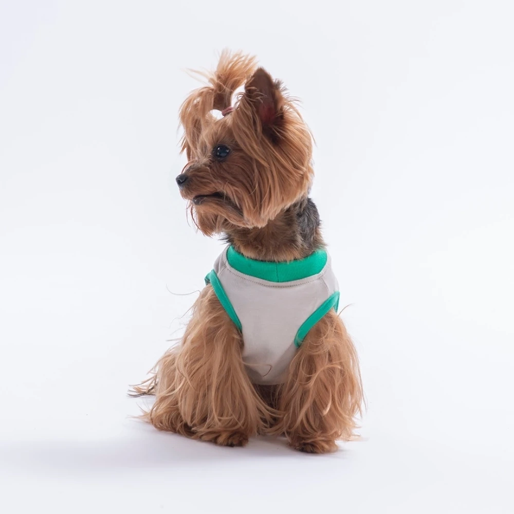 26810-PAWSTAR GRİ GOOD VİBES TİŞÖRT 6LI SET (S-M-L-L-XL-2XL)
