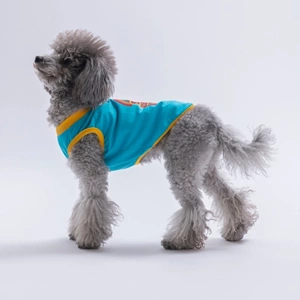 26811-PAWSTAR TURKUAZ GOOD VİBES TİŞÖRT 6LI SET (S-M-L-L-XL-2XL)