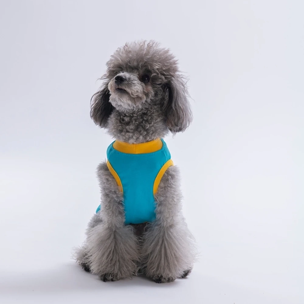 26811-PAWSTAR TURKUAZ GOOD VİBES TİŞÖRT 6LI SET (S-M-L-L-XL-2XL)