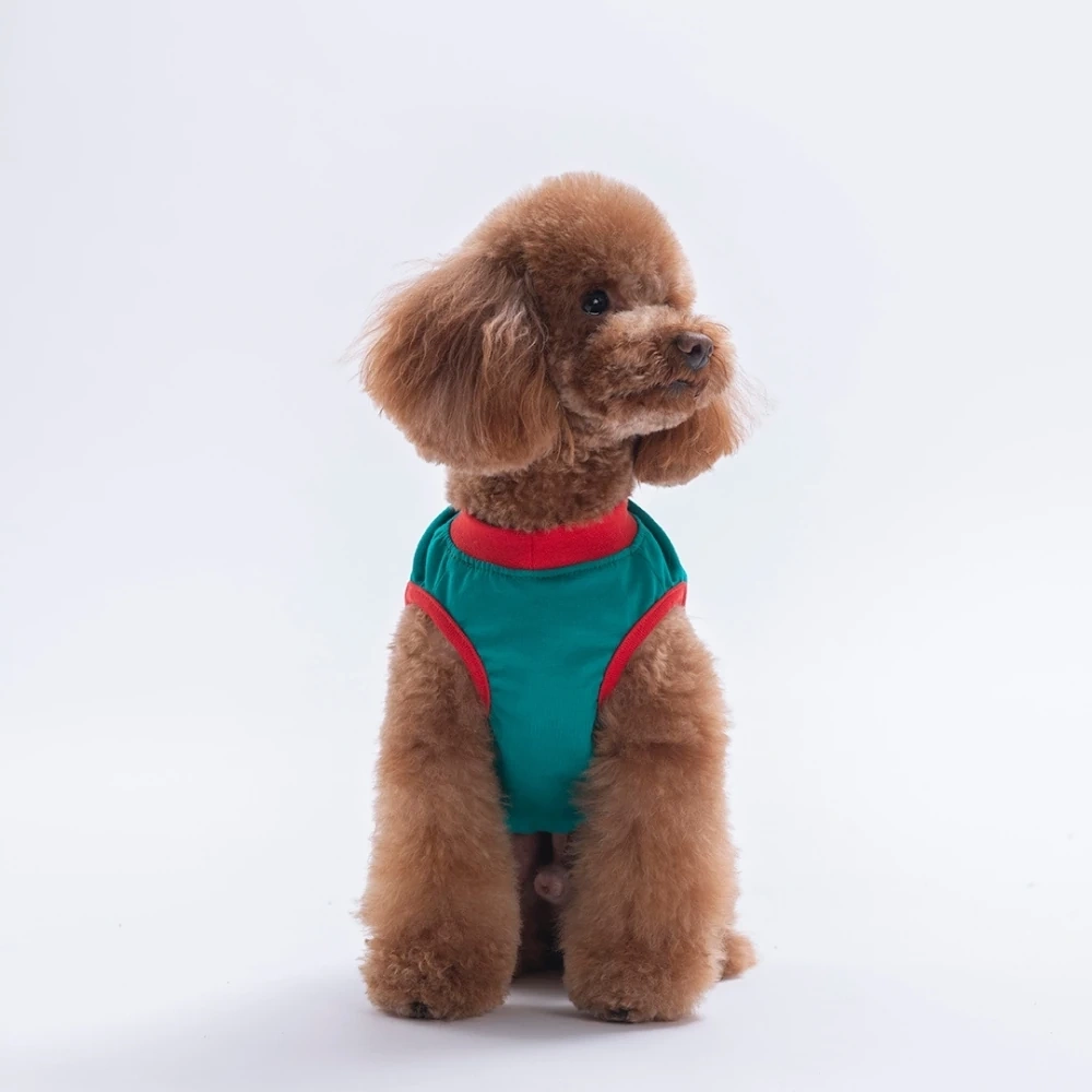 26812-PAWSTAR YEŞİL GOOD VİBES TİŞÖRT 6LI SET (S-M-L-L-XL-2XL)
