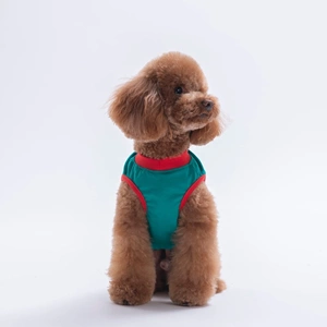 26812-PAWSTAR YEŞİL GOOD VİBES TİŞÖRT 6LI SET (S-M-L-L-XL-2XL)