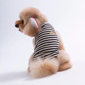 26814-PAWSTAR SUNRİSE EMBROLİNE TİŞÖRT 6LI SET (S-M-L-L-XL-2XL)