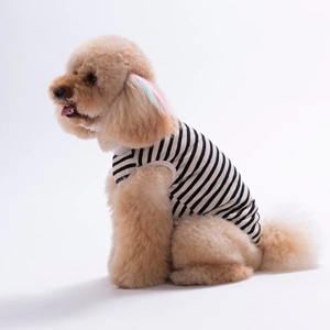 26814-PAWSTAR SUNRİSE EMBROLİNE TİŞÖRT 6LI SET (S-M-L-L-XL-2XL)