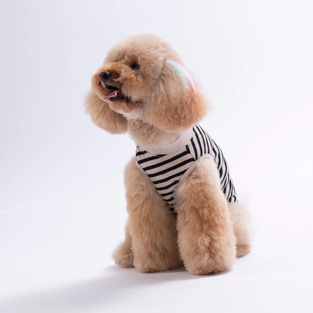26814-PAWSTAR SUNRİSE EMBROLİNE TİŞÖRT 6LI SET (S-M-L-L-XL-2XL)