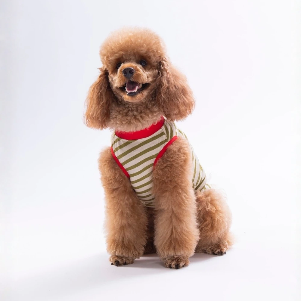26819-PAWSTAR RED HEART EMBROLİNE TİŞÖRT 6LI SET (S-M-L-L-XL-2XL)