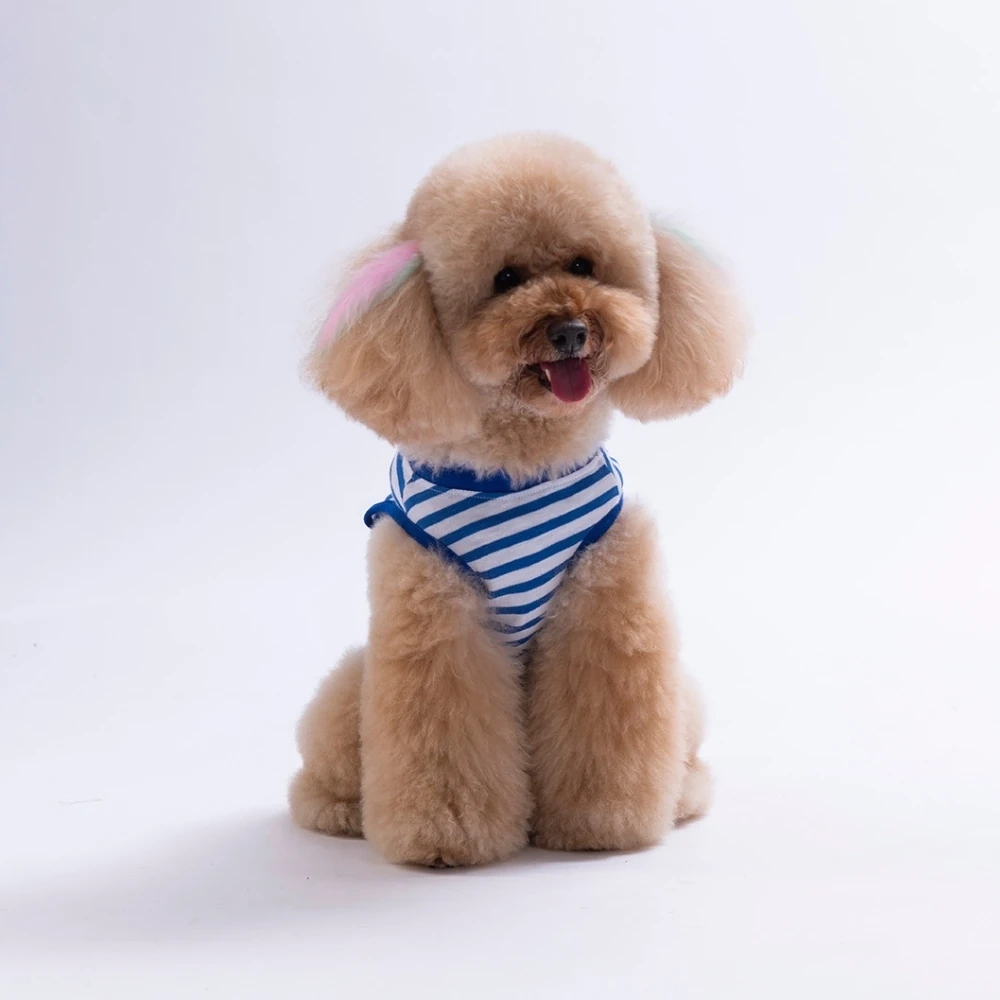 26820-PAWSTAR SUNFLOWER EMBROLİNE TİŞÖRT 6LI SET (S-M-L-L-XL-2XL)