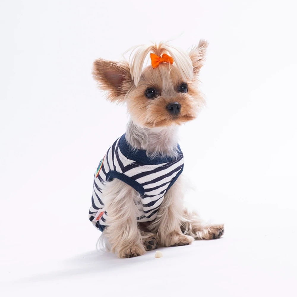 26821-PAWSTAR JOY EMBROLİNE TİŞÖRT 6LI SET (S-M-L-L-XL-2XL)