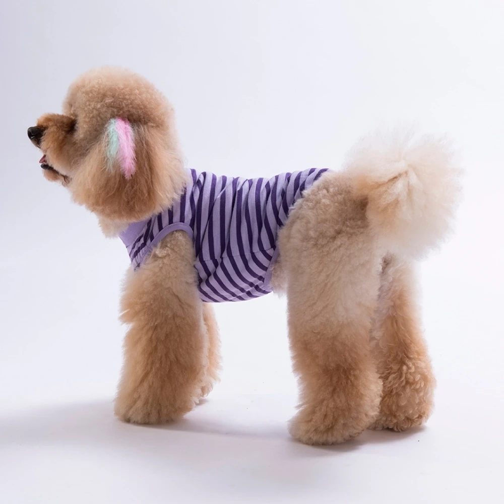26822-PAWSTAR SMİLE EMBROLİNE TİŞÖRT 6LI SET (S-M-L-L-XL-2XL)