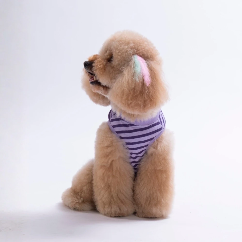 26822-PAWSTAR SMİLE EMBROLİNE TİŞÖRT 6LI SET (S-M-L-L-XL-2XL)
