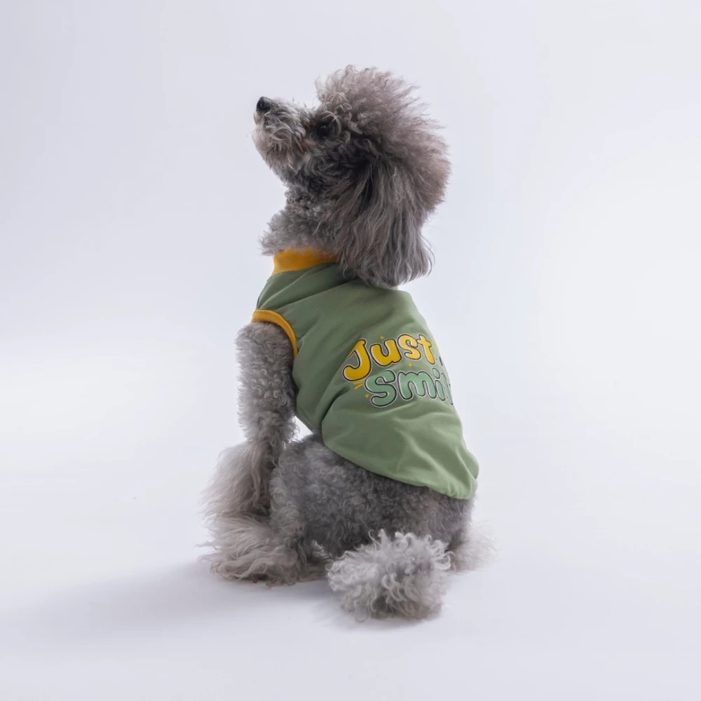 26823-PAWSTAR YEŞİL JUST SMİLE TİŞÖRT 6LI SET (S-M-L-L-XL-2XL)